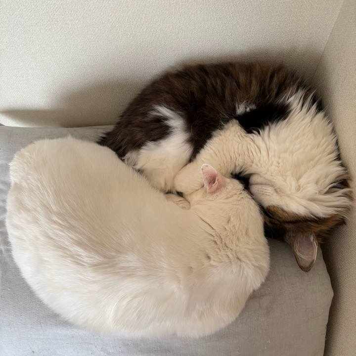 22fbeffa cf26 4e49 827b c67b301981a7 1739922299331