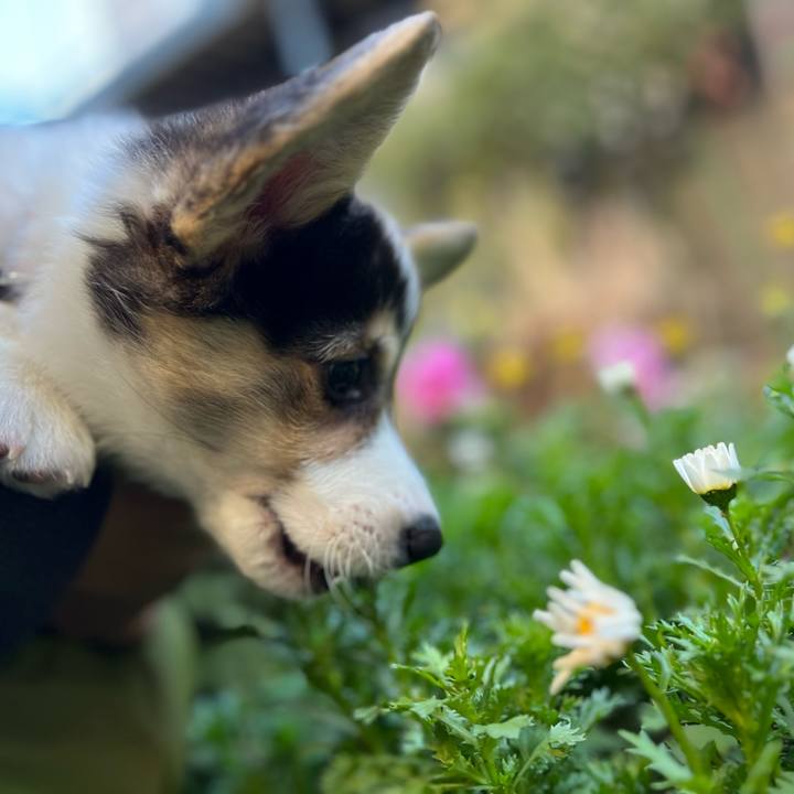 22fc02f6 2e8a 4a19 be3a 634712743866 1769344872029