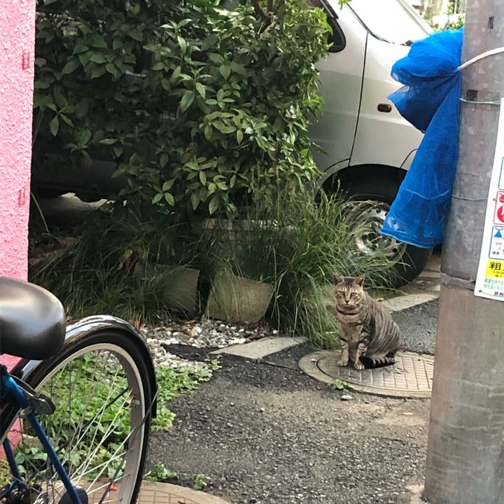 22fc0c5e 82dd 4c73 8e1e 0b6cf84b8069 1569072208988