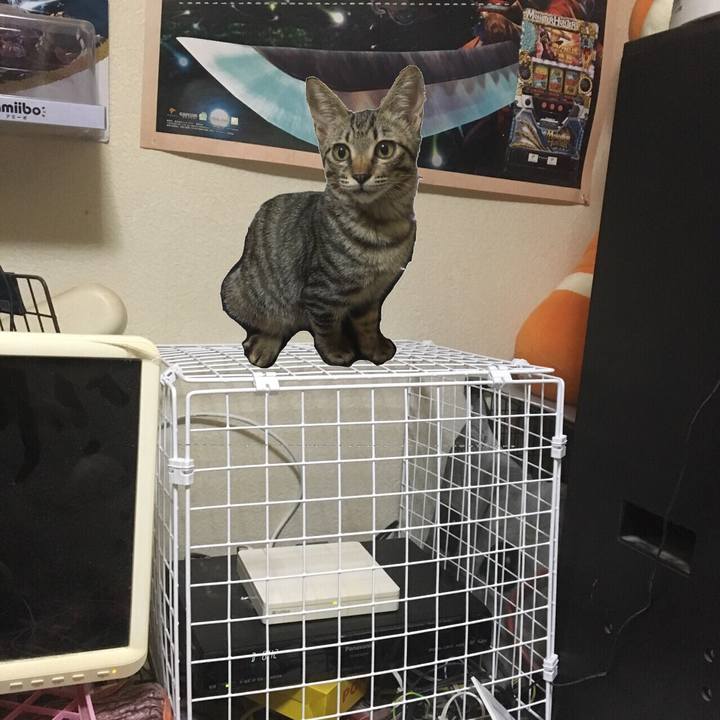 22fc0e6b 518b 4a8a 853e b1b0620b08ac 1538037921943