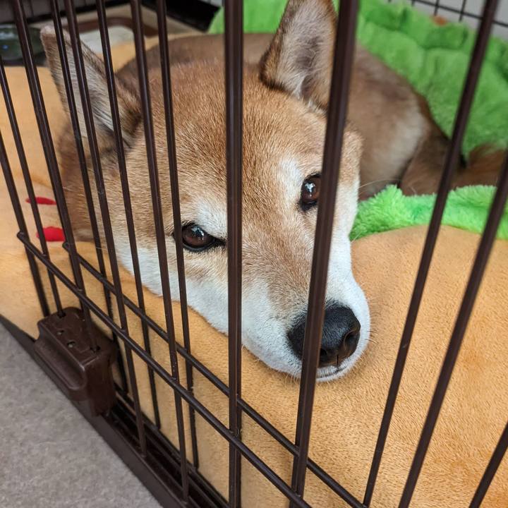 22fc0ef4 0877 4518 a8af 9064a6200f3f 1704853237342