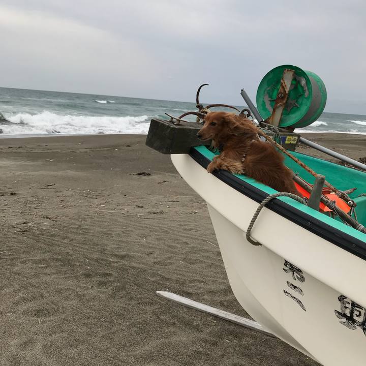 22fc2f2e a889 4fb9 ac54 8b317880899a 1525527682756