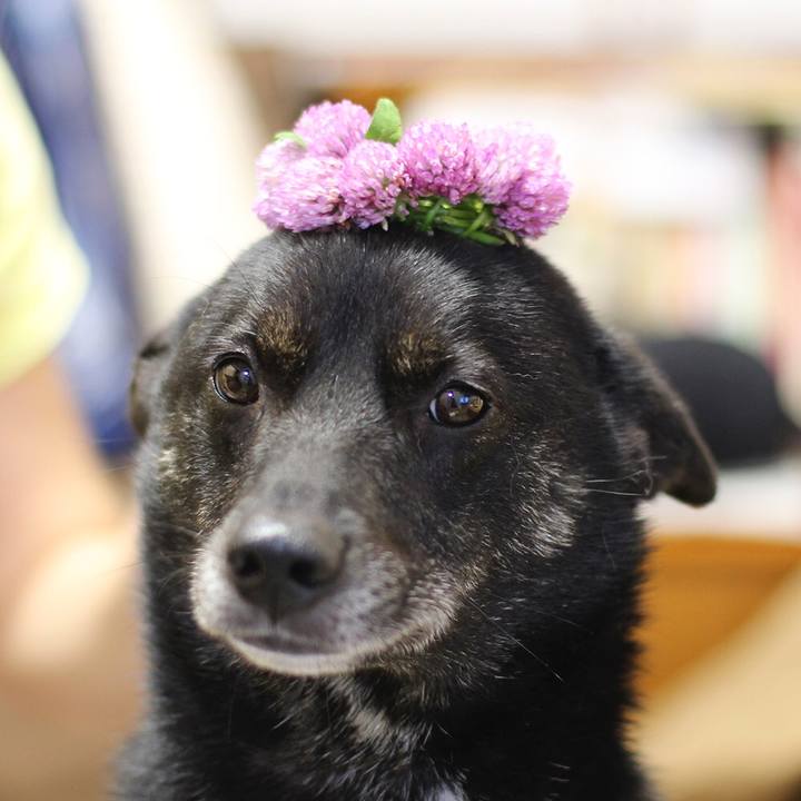 22fc4285 3096 4c36 b1ab 3ed17c890981 1564010611161