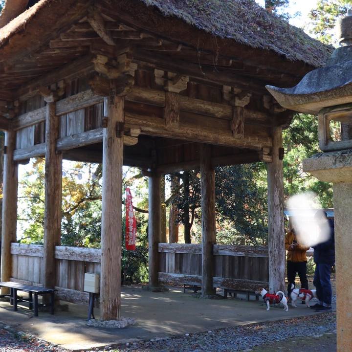 22fc454c 8c7e 4830 a56e 2d58a5a6eb36 1546153883952