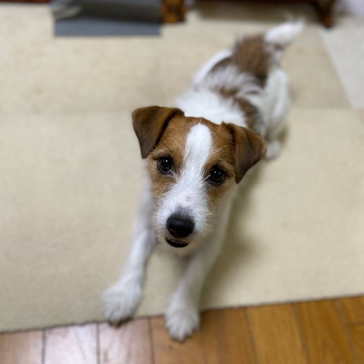 22fc5099 dd90 447d a29c 99c82a56d982 1723383096606