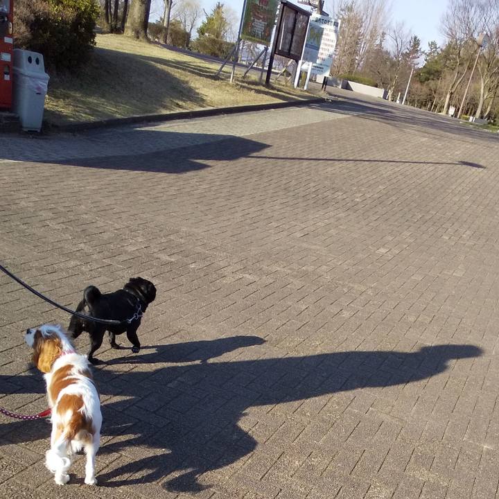 22fc5baa ae1f 4763 acec 88bf2cc628b6 1585127705326