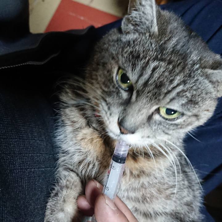 22fc6fee 7e35 400b b40a d67061773e8c 1579729998651