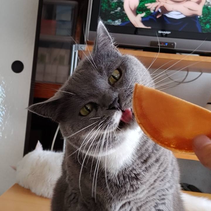 22fc7ce9 4e09 4c2f 9a66 0d7a14b4601b 1659494098813