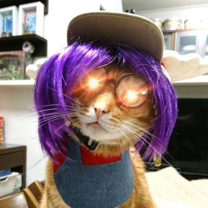 22fc8f88 24cc 4c8e ad22 74ac14953719 1562899592492