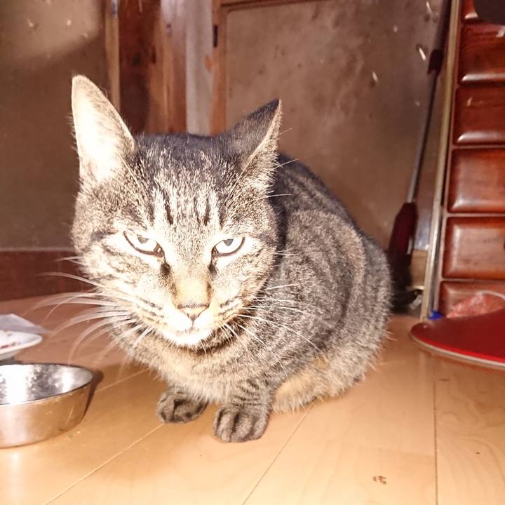 22fca03c 2926 4798 8b38 ccaee6acb1d9 1633786956165