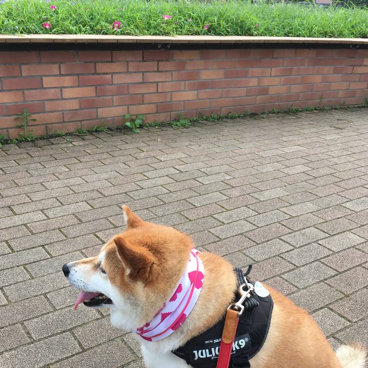 22fcbc7d 0daa 41d7 94d8 b859a901b63b 1595232726123