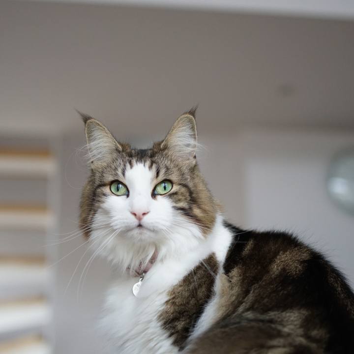 22fcd237 1cb1 4204 820a 3c577dc87b7f 1573703742292