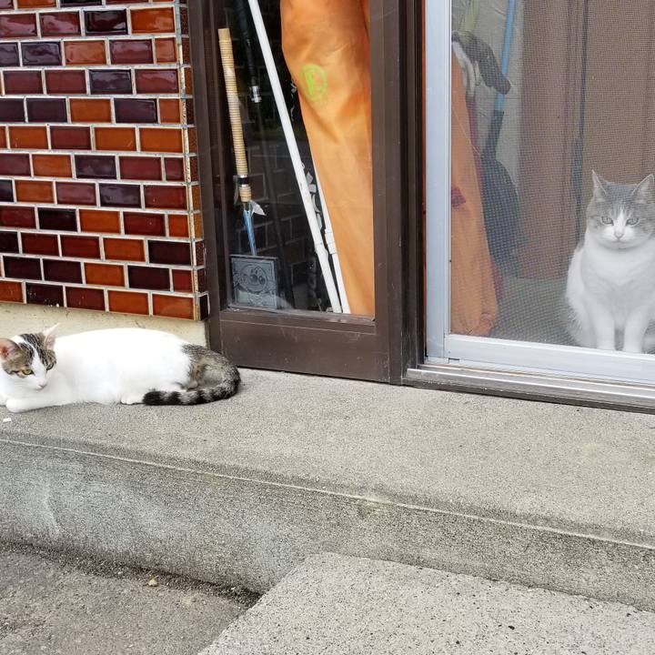 22fce346 c1fb 4a1e 985f ea856e778a49 1566648377821