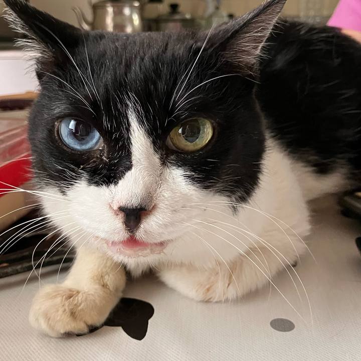 22fd1c89 2ff0 4be1 a475 5c4f259ee147 1750552831420