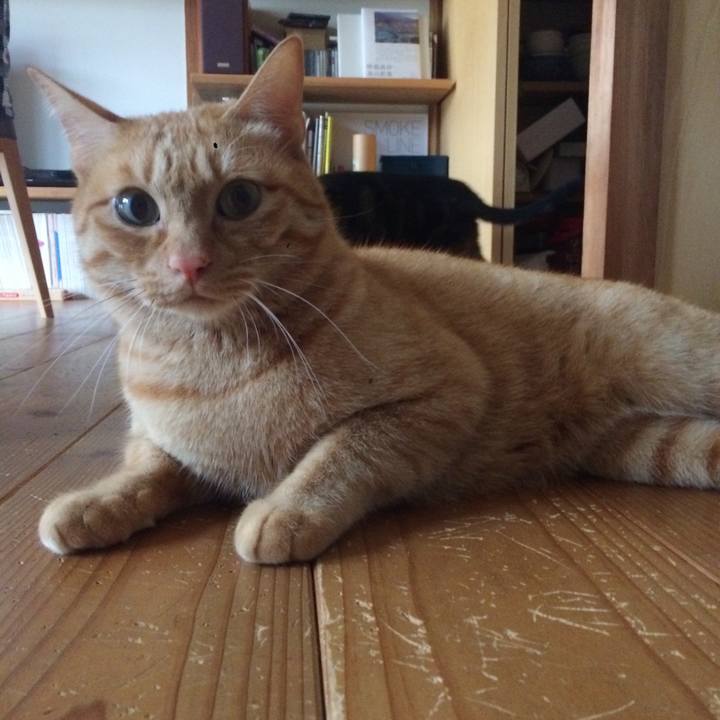 22fd28d3 4b42 4ad6 a4b1 a0bb65d971ba 1511396753575