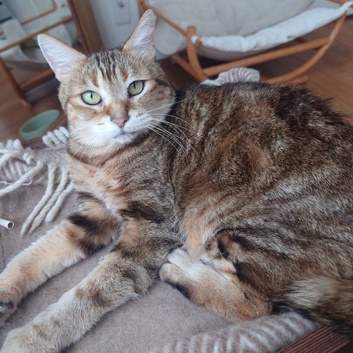 22fd30f4 caa9 4b42 be7f 7de1801b9f22 1769239852932