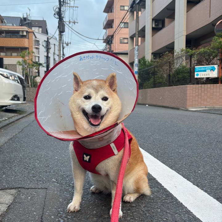 22fd5589 2c26 4eac 84c7 bfaf91eb15f6 1757975155060