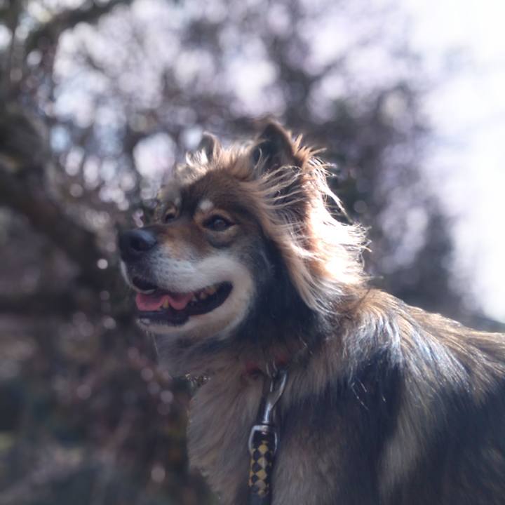 22fd97bc 4043 4851 b5b5 59999e995927 1582427417460