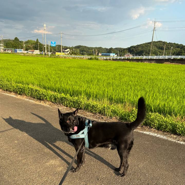 22fdc99d a211 46f8 b25d 7fb281a8e8dc 1751100203069