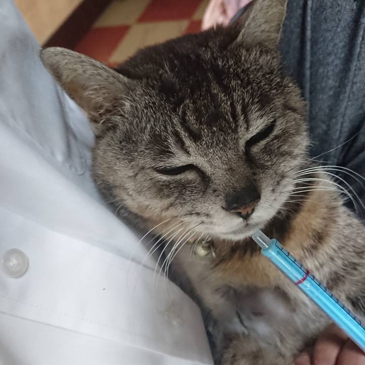 22fe16ba 14e1 4da5 bd0e fa80ca93eec7 1590615943272