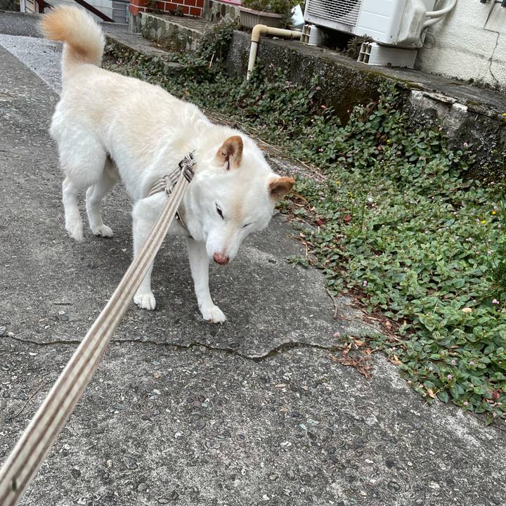 22fe27ce 7198 4569 8873 43af3501f1b5 1634348597546