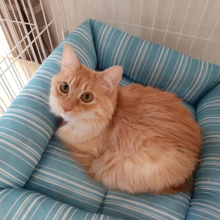 22fe2e0a d4ab 4355 ad34 618f3956a5f2 1643871157789