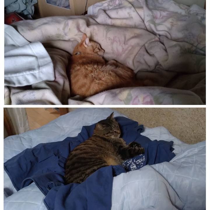 22fe45e7 163f 4965 8c1f c38444c4b46d 1717711738305