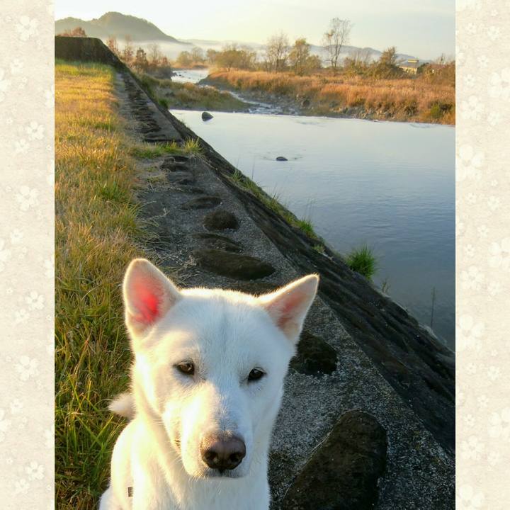 22fe81db 449b 4c36 8848 00029d419b88 1542498934866