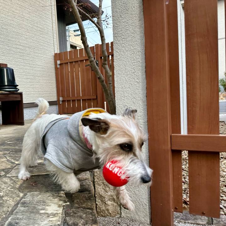 22fe8620 8b22 4252 b057 1bc13a7748e5 1705151753100