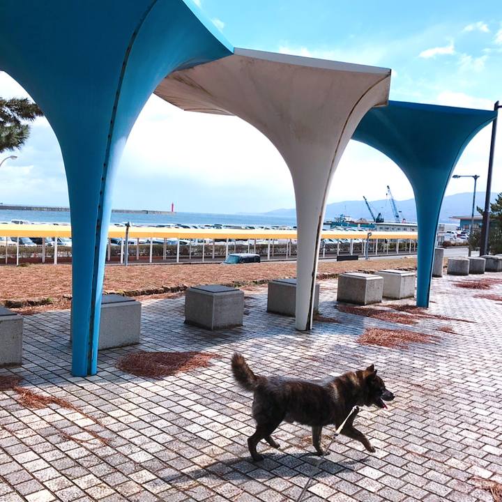 22fe9ed2 ed5c 4573 8036 60f81efd9e8c 1554009137076