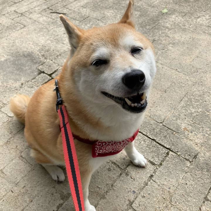 22feaa5c 64b0 4c86 a9ff b55530548b2b 1625044266298