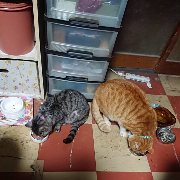 22ff0e63 5986 4b9d a309 35af8313d15f 1582229403691