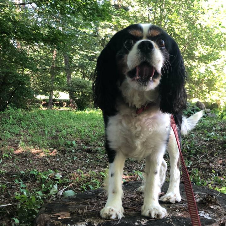 22ff180e 63ca 4b8d af18 de47cac850b8 1562737161823