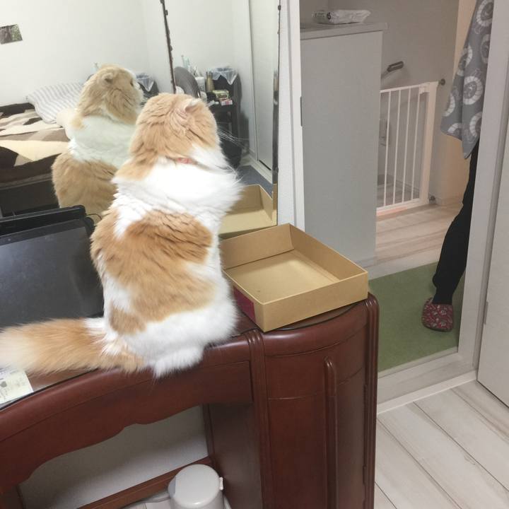 22ff278d 1bec 49e5 8d55 94834d2e16ea 1590136729444