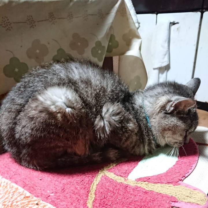 22ff353d 0d22 49e3 b2e0 e29a85866f71 1601067475548