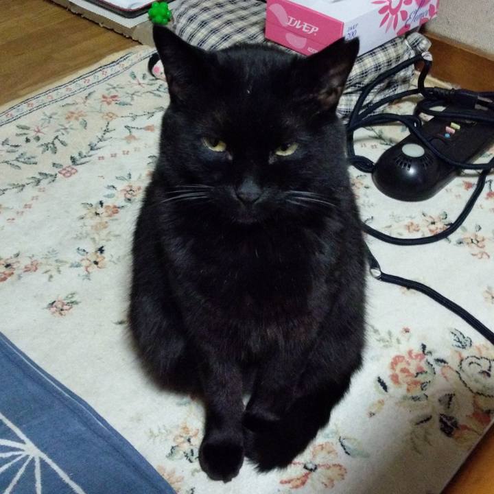 22ff57fa 8b6f 4a2c 9326 b15facff4f24 1608985511862