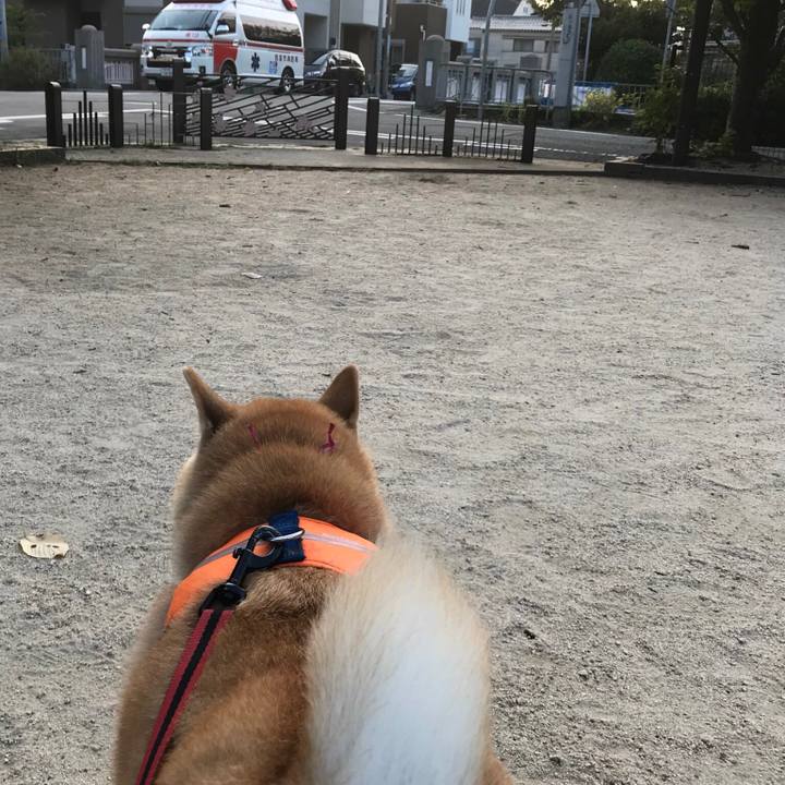 22ff89ae 1ec0 4505 9876 3953e143b046 1534120624318