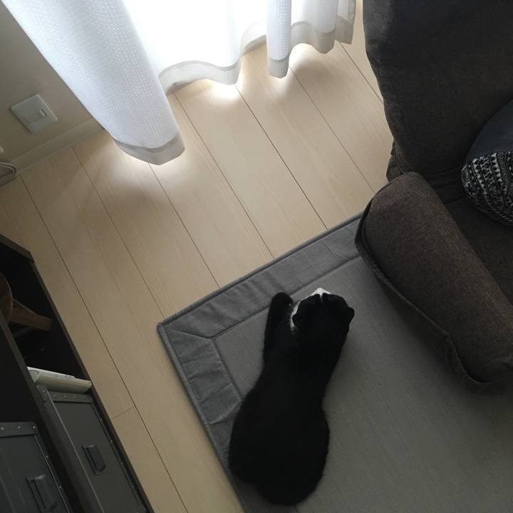 22ffaf10 7732 4e09 b06f 3f2f83d31657 1565657281515