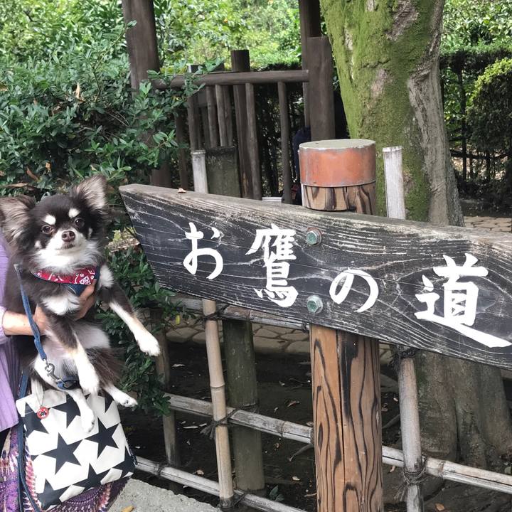 22ffd451 ac62 4431 8a56 b6f92fdb9a5a 1571904640932