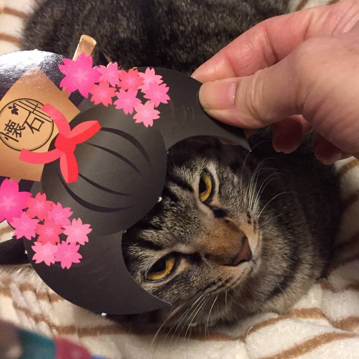 22ffe2b2 5795 4bbd b76a 96a540833787 1521296359463