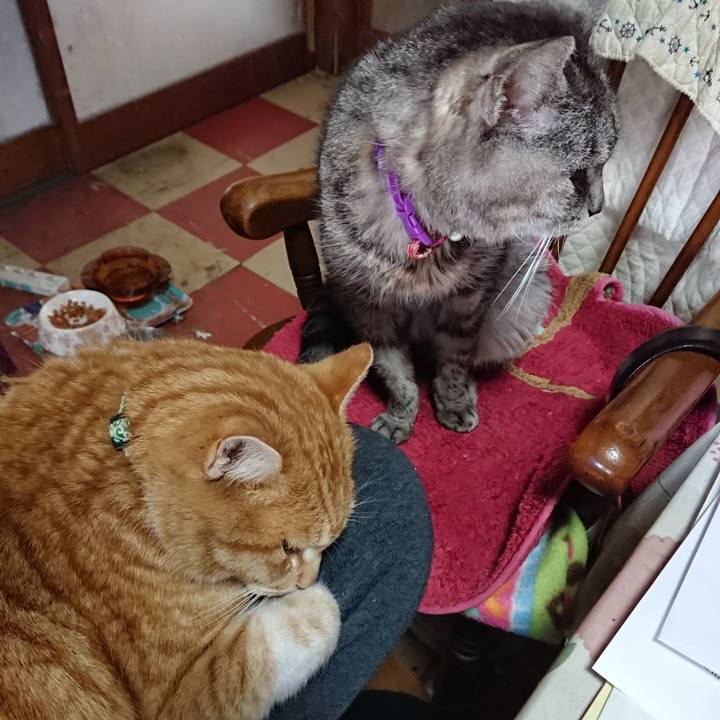 23000737 4cb0 4eea ab63 fc455ca61ce6 1581140354129