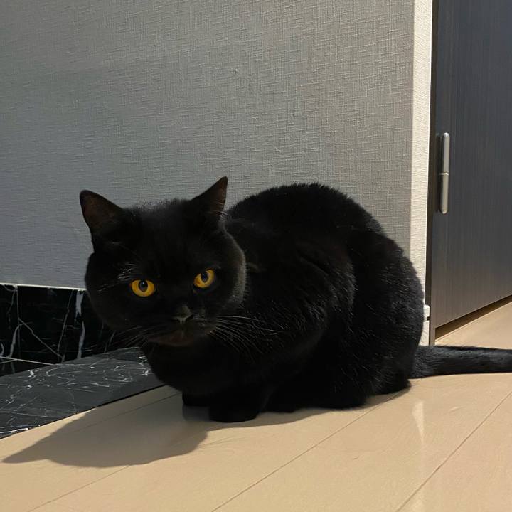 23001453 561c 47d2 91d0 7c60c0b15897 1613229897298