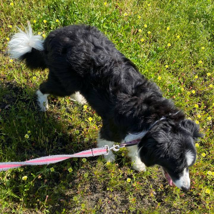 230016c8 6144 48cb a397 b641fe55462a 1681000660714