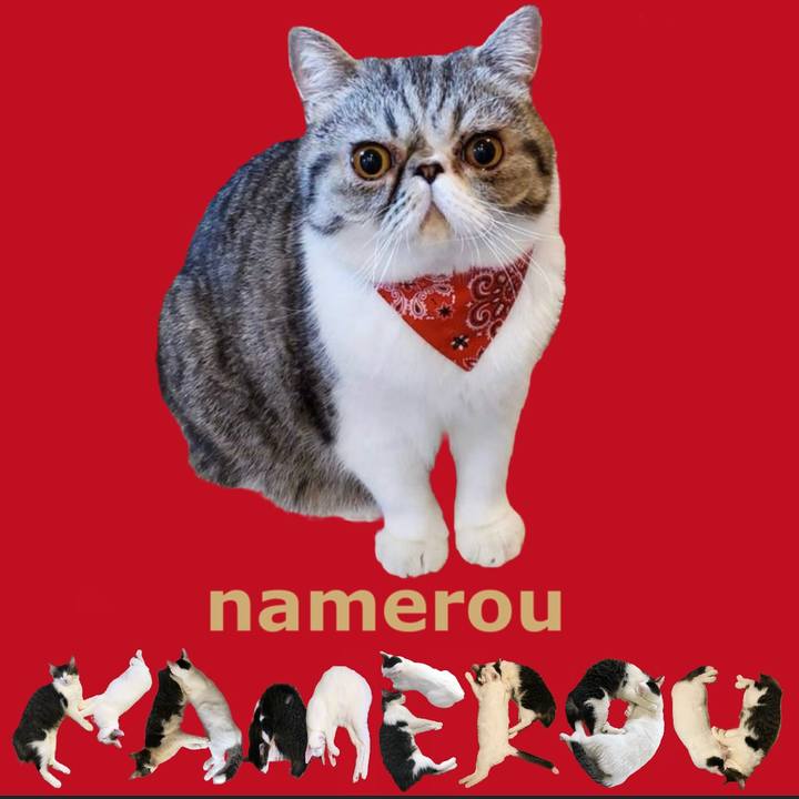 23001d19 c8c7 45dd 8867 495588b3eac2 1667696545958