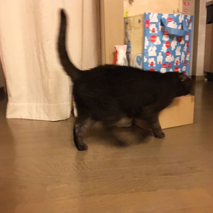 23002ba2 5aa2 4b74 a753 5de8cad3ad8e 1510407929171