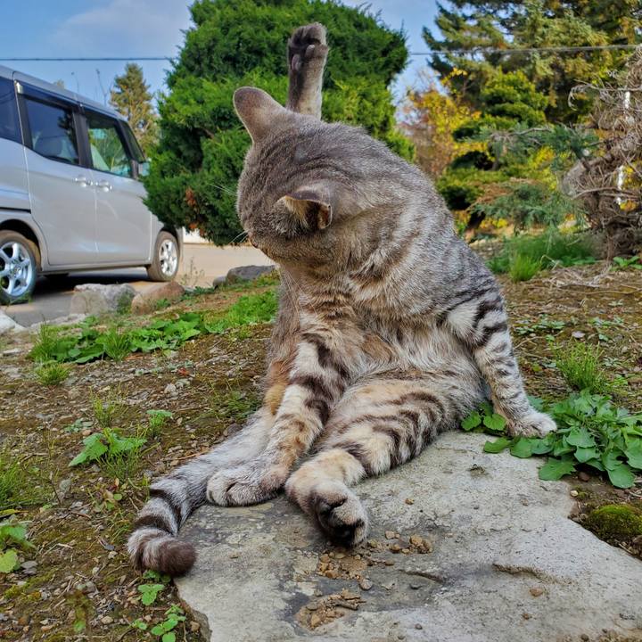 23003053 98f7 4375 b831 df45ddc3402b 1698564137213