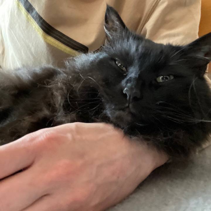 2300395d e7c4 4435 bf94 b12b0c0fe37e 1648876507176