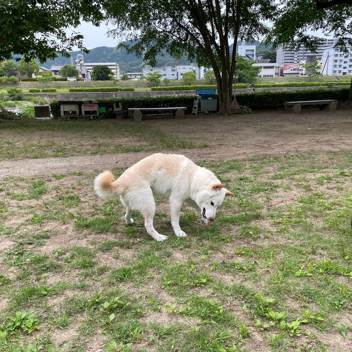 23004ed4 0169 4939 9c70 270033e55974 1654876899308