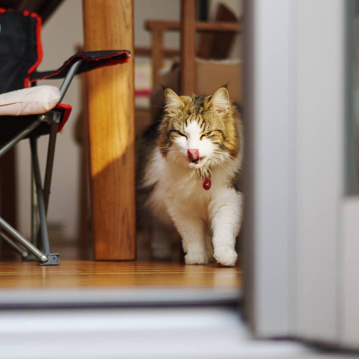 2300aabe a41d 4cca b010 367c9f3a5d84 1712048050897