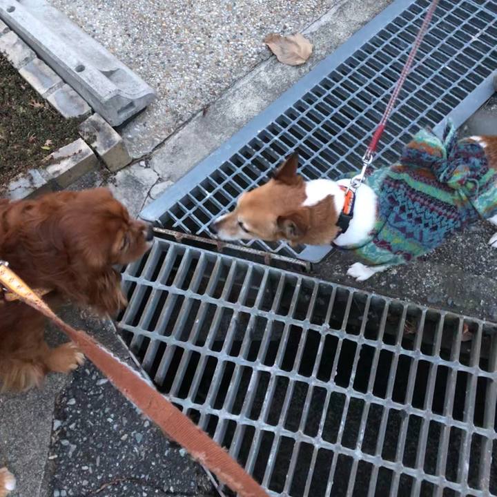 2300c23b f654 4887 b9d6 d4430677e993 1644359688489